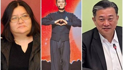 王定宇批刘德华引公愤,“娱乐圈大姐大”爆粗口:滚回去耍政治宝