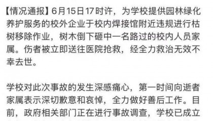 女教授在清华被树砸中后离世 学生:去看望家人时遭遇不幸 对学生很好很受爱戴