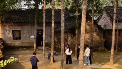 河南一大爷的院子因干净成网红打卡地,网友:像极了小时候家的样子,想拖鞋光脚丫子走