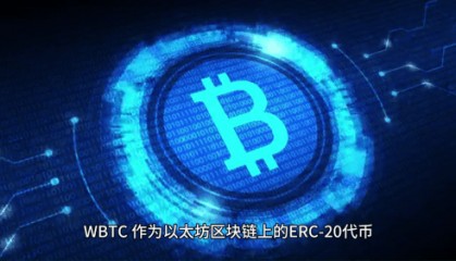 孙宇晨与WBTC:一场关于区块链监管的深度对话
