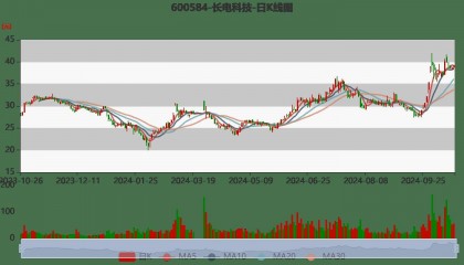 长电科技:2024年前三季度净利润10.76亿元 同比增长10.55%