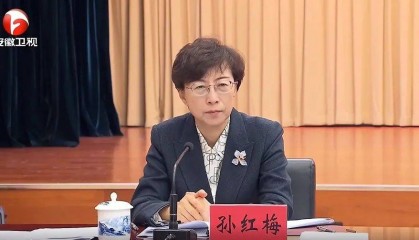 孙红梅已任安徽省委组织部部长