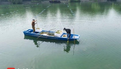 水体透明度由0.4米增至1.9米“清澈见底” 科技赋能让百家湖华丽蝶变