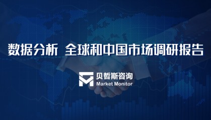 加工助剂行业分析报告(2024)