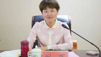 官宣!副市长刘岚落马
