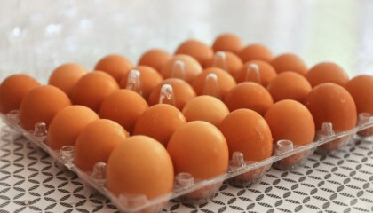 三农科普|鸡蛋买回家该如何储存
