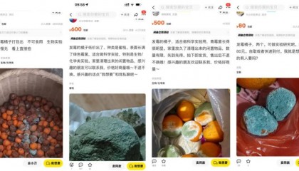 突然火了!有人卖500元一个!网友:后悔扔了……