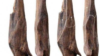 世界级重大考古成果!中国发现30万年前东亚最早木器
