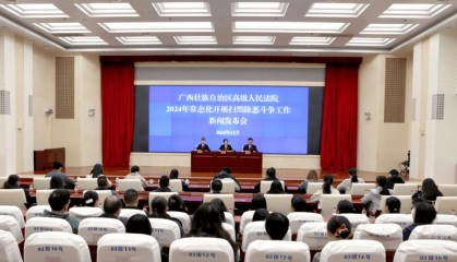 在柳州充当“地下执法队”十余年,这个涉黑组织被铲除!