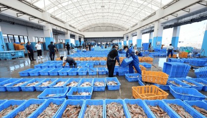 日媒：中方向日方通报暂停进口日本水产品