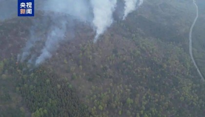 山火连发,原因公布!多地拉响红色预警→
