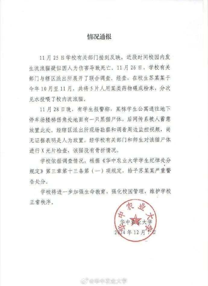 毒杀流浪猫的学生考上事业编？大批网友举报！官方回应→