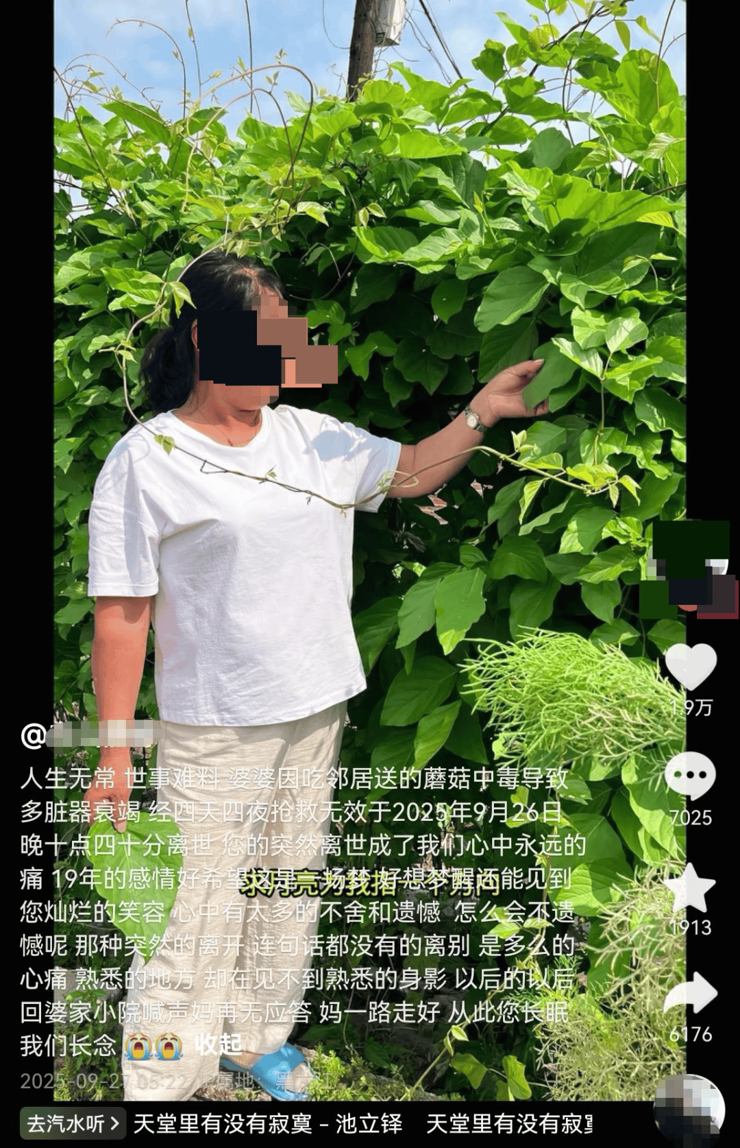 网红发文悼念婆婆:吃了邻居送的蘑菇中毒,抢救四天四夜死亡!这些蘑菇避毒原则可能是陷阱→