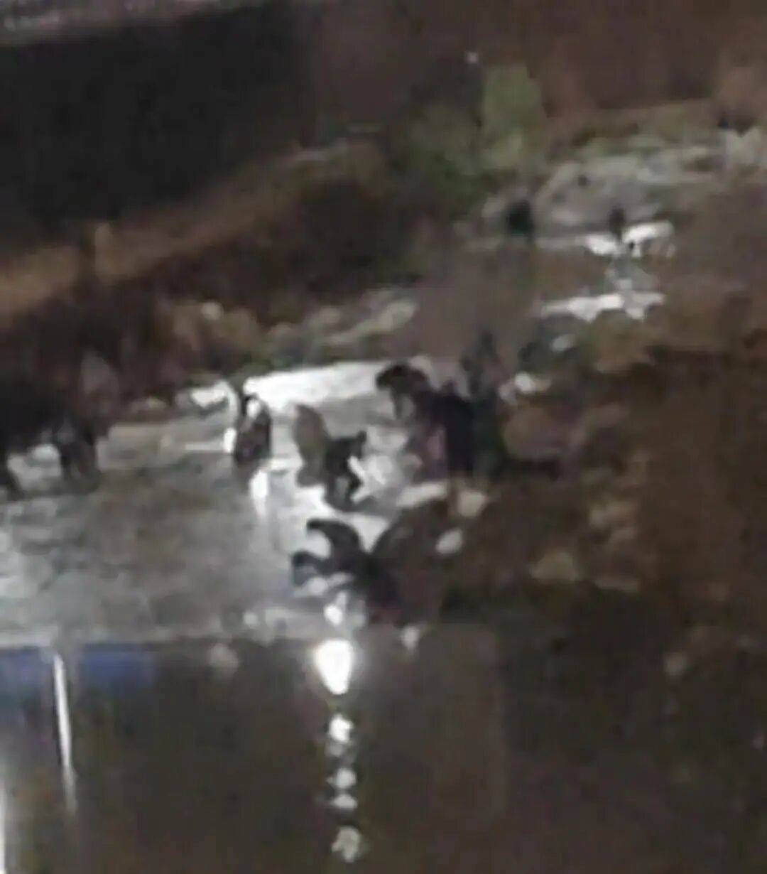 “一盆就出了5克多”!甘肃一河道现淘金潮,有人凌晨冒严寒淘金!此前政府明令禁止