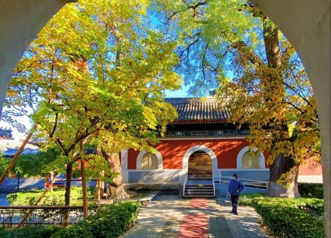 绝美!北京秋季颜值已达巅峰!这样定格最美秋天!