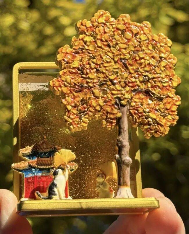 绝美!北京秋季颜值已达巅峰!这样定格最美秋天!