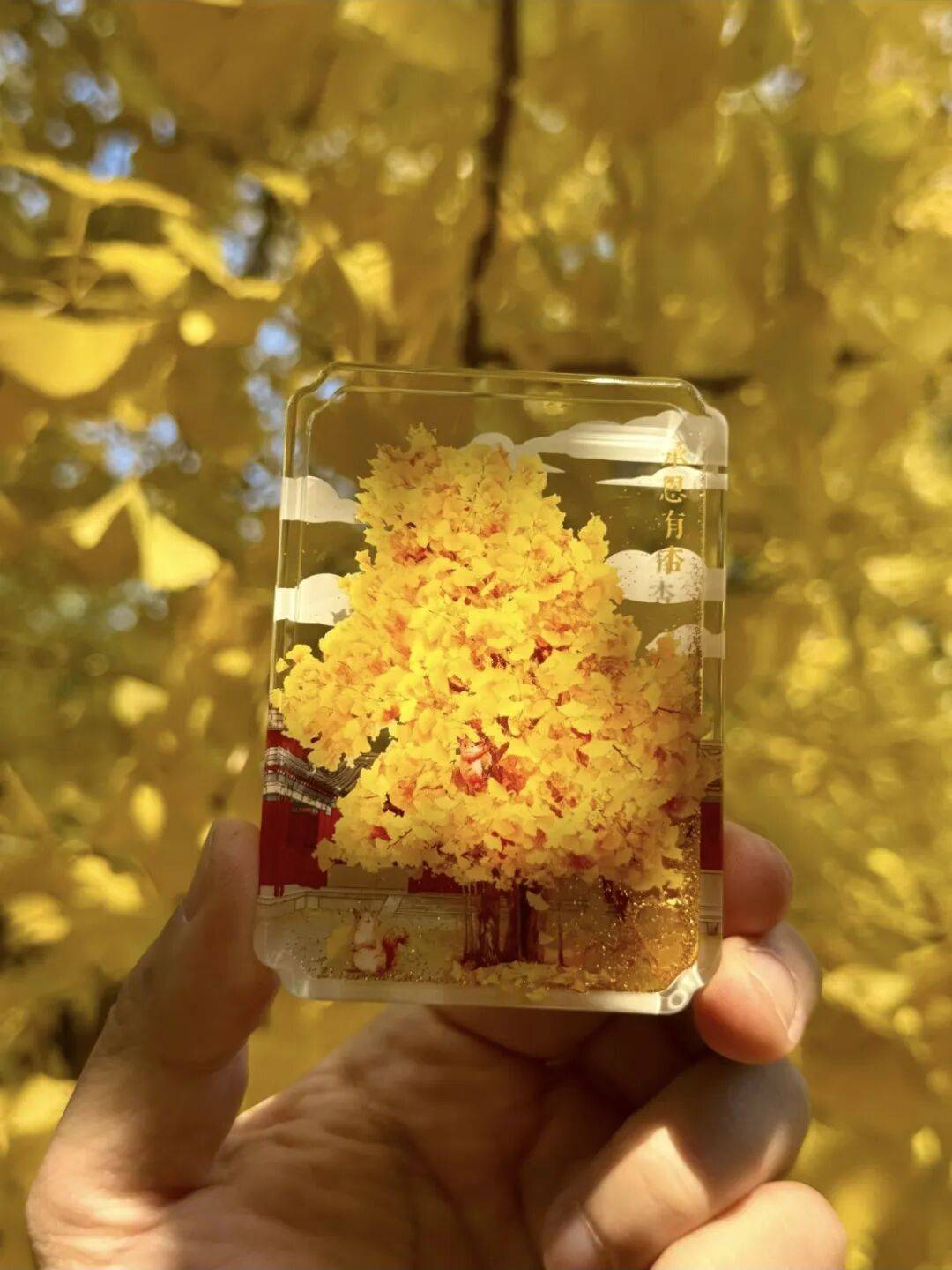 绝美!北京秋季颜值已达巅峰!这样定格最美秋天!