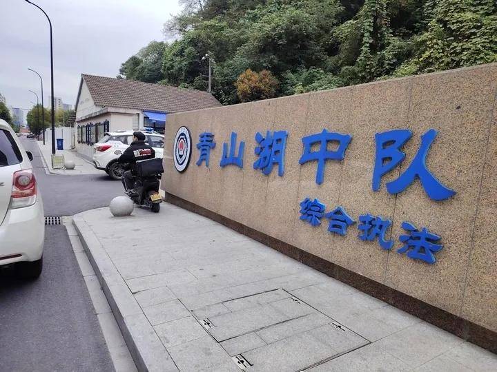 柯基犬主人持酒瓶暴打马犬事件进展:当事人被拘,马犬已脱离危险期